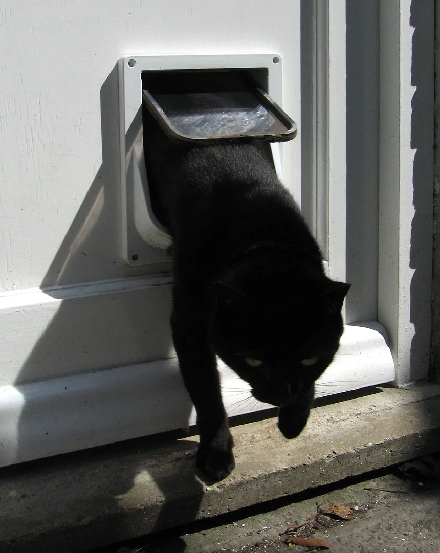 Chat passant à travers une chatière classique installée sur une porte