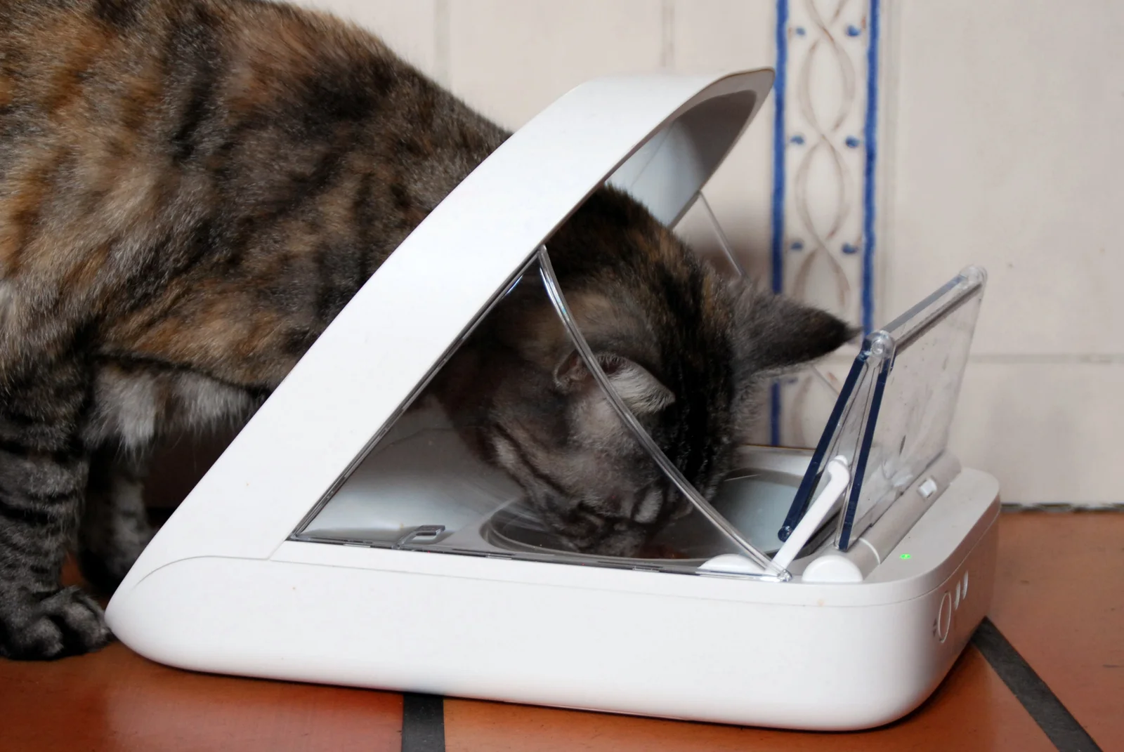 Distributeur de croquettes connecté avec reconnaissance RFID pour chat