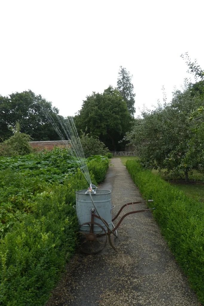 Arrosage automatique en jardin mural — système connecté en intégration paysagère