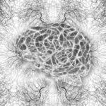neurones-cellules-cerveau-structure-cerveau