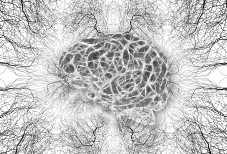 neurones-cellules-cerveau-structure-cerveau