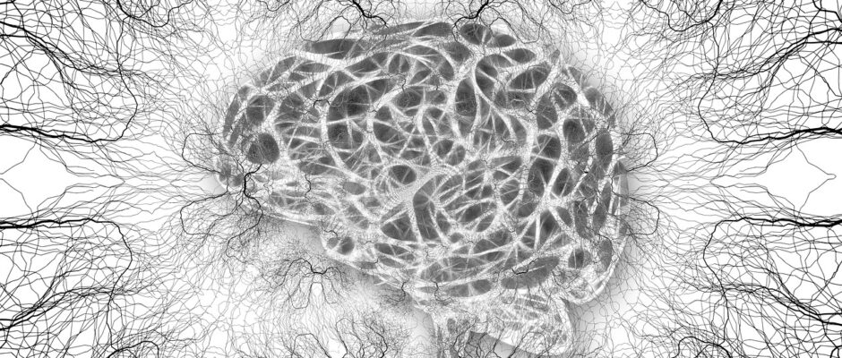 neurones-cellules-cerveau-structure-cerveau
