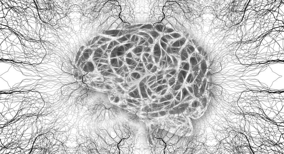 neurones-cellules-cerveau-structure-cerveau